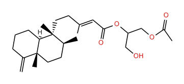 Palmadorin B